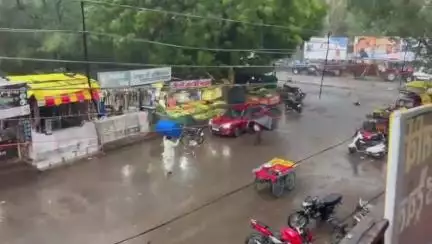 खातेगांव: खातेगांव में हुई बारिश से बढ़ी खेतों में खड़ी मूंग की फसल खराब होने की आशंका, किसान चिंतित