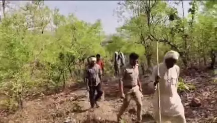 देवेंद्रनगर: डकैतों का मूवमेंट रोकने के लिए धरमपुर, बृजपुर थाना पुलिस और पुलिस लाइन की संयुक्त गश्त, ड्रोन से सर्चिंग