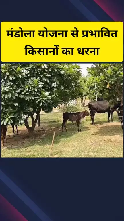 गाज़ियाबाद: मंडोला योजना से प्रभावित किसानों का धरना तेज : आवास विकास कार्यालय पर डटे, लगाए गंभीर आरोप #jansamasya
