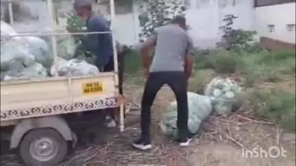 हिंगणघाट: नारायण सेवा मित्र परीवाकडून शहरातील भाजीपाला हिरवा चारा जमा करून गोशाळेली जनावराची भागविल्या जात आहे भुक