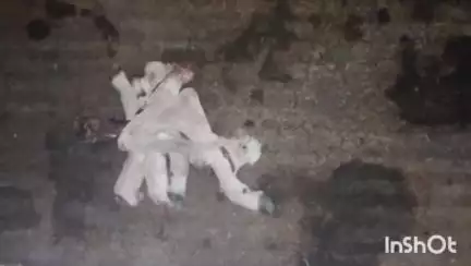 बीकानेर: जयनारायण व्यास कॉलोनी इलाके में मिले नवजात गोवंश के केवल पैर, गोरक्षकों ने पशु चिकित्सालय के आगे किया धरना