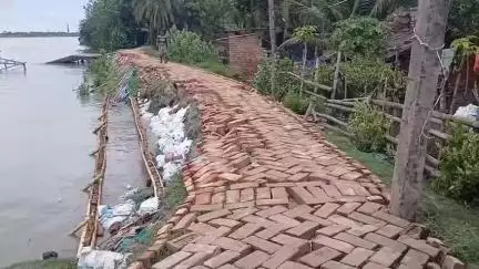 হাসনাবাদ: আংনাড়া এলাকায় বিদ্যাধরী নদী বাঁধের বেহাল দশা, আদমকে দিন কাটাচ্ছে শতাধিক পরিবার#jansamasya