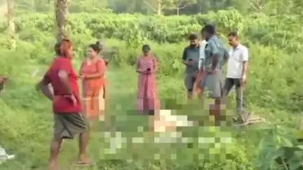 ചാലക്കുടി: അതിരപ്പിള്ളിയിൽ ജനവാസ മേഖലയിൽ പട്ടാപ്പകൽ പുലിയിറങ്ങി പശുവിനെ കടിച്ചുകൊന്നു