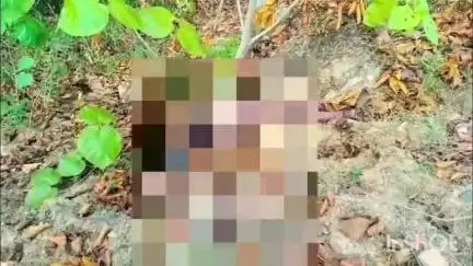 बिछिया: मोतीनाला थाना क्षेत्र के जोगी मंडी जंगल में मिली अज्ञात महिला का शव, जांच में जुटी पुलिस
