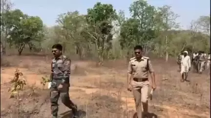 पन्ना: धर्मपुर और बृजपुर थाना प्रभारियों ने पुलिस टीम के साथ जंगल में की गश्त