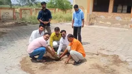 माधौगढ़: गोहन पीएससी में विश्व पर्यावरण दिवस के अवसर पर कर्मचारियों ने बीजेपी कार्यकर्ताओं के साथ पौधा रोपण किया