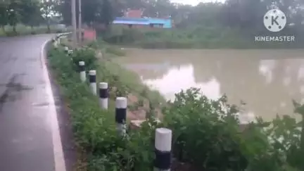 ଢେଙ୍କାନାଳ ସଦର: ଦଧିସିଙ୍ଗା ଠାରେ ଯୋରନ୍ଦା ବିଧାରପୁର ରାସ୍ତାର ମରାଗାଡିଆ ପୋଖରୀ ପାର୍ଶ୍ୱରେ ସୁରକ୍ଷା ବାଡ ପାଇଁ ଦାବି #jansamasya