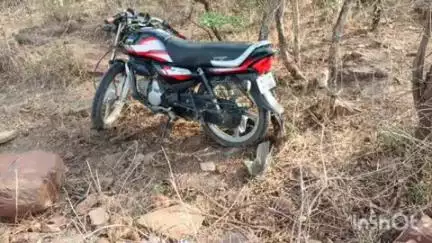 विजयपुर: तेज रफ्तार बाइक पेड़ से टकराई, दो युवकों की मौत