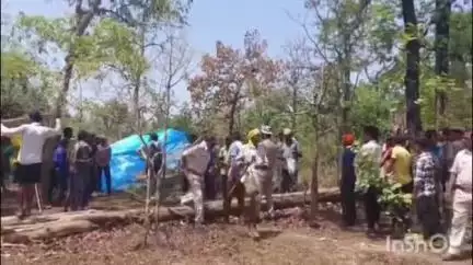 घोड़ाडोंगरी: सारनी रेंज के सतपुड़ा मेलघाट कॉरिडोर जंगल में 250 लोगों का अतिक्रमण, वन विभाग ने दी समझाइश