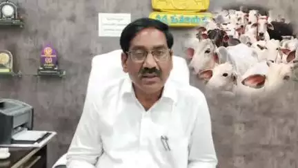 పలమనేరు: బక్రీద్ పండుగ సందర్భంగా ఆవులు, దూడలు, ఒంటెలను వధిస్తే చట్టరీత్యా చర్యలు: మున్సిపల్‌ కమిషనర్ రమణారెడ్డి