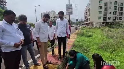 महाड: दहिवली परिसरात शेकडो वृक्षांची लागवड करण्यात आली
