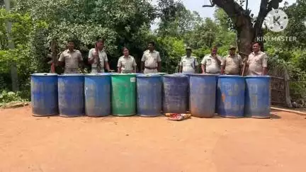 ବଡସାହି: ପୂର୍ଣ୍ଣଚନ୍ଦ୍ରପୁର ଗ୍ରାମର ଜଙ୍ଗଲିଆ ସ୍ଥାନରେ ଚାଲିଥିବା ଚୋରାଦେଶିମଦ କାରଖାନା ଉପରେ ଅବକାରୀ ବିଭାଗର ମିଳିତ ଚଢାଉ