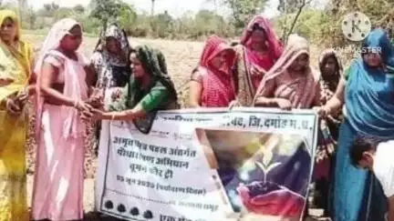 पथरिया: नगर परिषद पथरिया में हुआ पौधारोपण का प्रशिक्षण