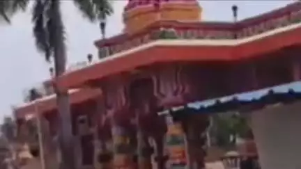 रसड़ा: रसड़ा के बड़ी काली माता मंदिर में गिरा प्राचीन नीम का पेड़, विद्युत पोल भी टूटा, घंटों तक बिजली रही ठप
