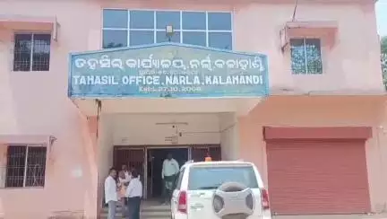ନର୍ଲା: ଗିଧାମାଲ୍ ଠାରେ ୫୦ ଏକରରୁ ଅଧିକ ଗୋଚର ଓ ଅନାବାଦୀ ଜମିକୁ ଚିହ୍ନଟ କଲେ ଗ୍ରାମବାସୀ