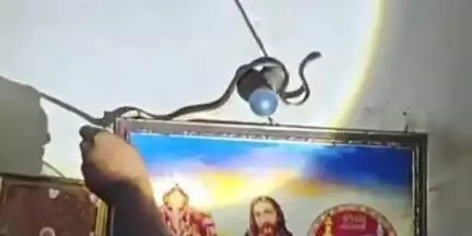 കൊല്ലം: കുണ്ടറ ആശുപത്രി മുക്കിൽ വ്യാപാരസ്ഥാപനത്തിൽ നിന്നും പാമ്പിനെ പിടികൂടി