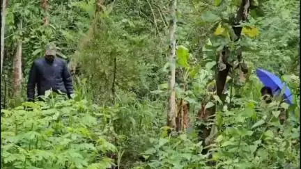 വെെത്തിരി: തരിയോട് കാട്ടാനയുടെ ആക്രമണത്തിൽ വനം വകുപ്പ് വാച്ചർക്ക് പരിക്ക്