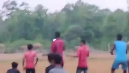 ঝাড়গ্রাম: সগড়ভাঙায় দল হাতির হানায় ক্ষতি হল প্রায় এক বিঘা জমির বাঁশ বাগান