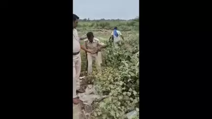 मोतिहारी: मोतिहारी में ALTF टीम ने विभिन्न थाना क्षेत्रों में शराब के खिलाफ कार्रवाई, देसी शराब के साथ एक गिरफ्तार