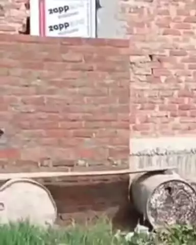 बिल्हौर: बिल्हौर तहसील के सिं द्यौली गांव में ग्राम समाज की जमीन पर अवैध कब्जा