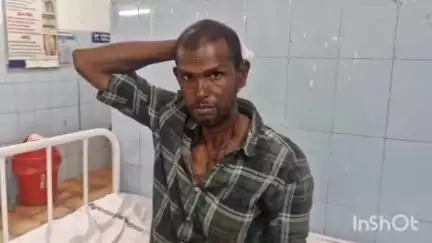 మదనపల్లి టమోటా మార్కెట్ లో పనిచేసే కూలీలపై శుక్రవారం రాత్రి కొందరు వ్యక్తులు కర్రలతో దాడిచేసి తీవ్రంగా గాయపరచారు