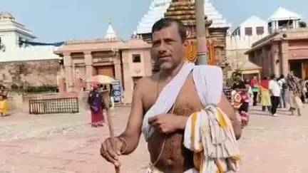 ପୁରୀ ମ୍ୟୁନିସିପାଲଟି: ମହାପ୍ରଭୁଙ୍କ ଦନ୍ତ ମର୍ଜନ ପାଇଁ ବ୍ୟବହୃତ ହୁଏ ମୁତୁରୀ ଦାନ୍ତ କାଠି