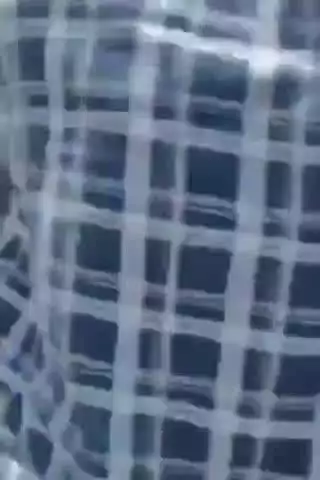 टीकमगढ़: टीकमगढ़: युवक से आधा दर्जन लोगों ने की मारपीट, सोशल मीडिया पर वीडियो वायरल