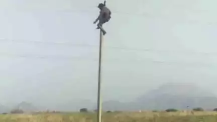 रेवदर: रेवदर के मालवा में शराबी युवक ने किया हाई वोल्टेज ड्रामा, चढ़ा चालू बिजली लाइन पर, पुलिस मौके पर पहुंची