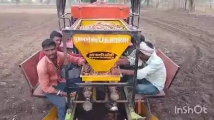 वाशिम: जिल्ह्यात हळद लागवडीला सुरवात, ८ हजार हेक्टर  क्षेत्रावर पेरणीचे नियोजन