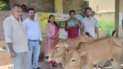 चक्रधरपुर: पशु पालन विभाग कार्यालय में जिला परिषद सदस्य लक्ष्मी हांसदा ने किसानों को बैल प्रदान किए