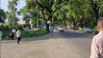 મોરવા હડફ: મોરવા હડફ તાલુકાના દેલોચ ગામે ઝેરી સાપ કરડવાને કારણે 12 વર્ષીય કિશોરીનું સારવાર દરમિયાન મૃત્યુ નિપજ્યું હતું