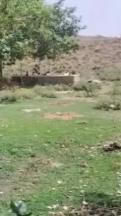 अलवर: अलवर में वंदे गंगाजल संरक्षण जल अभियान 20 जून तक चलेगा, जलाशय और बावड़ियों का होगा जीर्णोद्धार