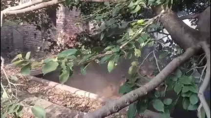 शाहबाद: दिलेर गंज स्थित पुराने बंद पड़े मकान में लगी आग, फायर ब्रिगेड मौके पर पहुंची
