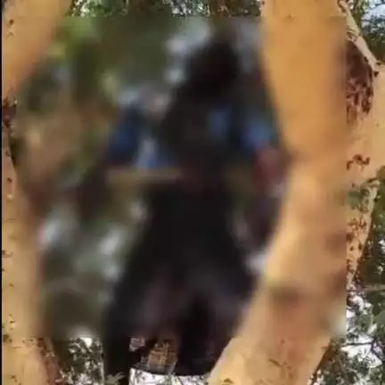 पलारी: बलौदी छेरकाडीह खार में एक बुजुर्ग ने गंधीरवा पेड़ पर फांसी लगाकर आत्महत्या की, 4 दिन से था लापता, जांच में जुटी पुलिस