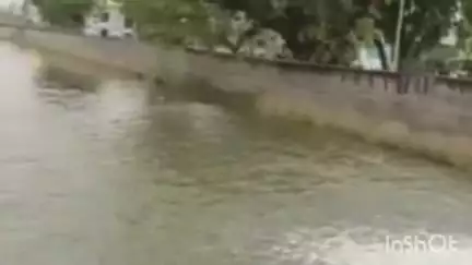 रेवाड़ी: रेवाड़ी में जल संकट: 72 घंटे में केवल 40 मिनट पानी, 6 दिन बाद नहर, मुख्यमंत्री के सामने उठाएंगे मांग