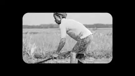 🌾 #11YearsOfKisanSamman 🌾

पिछले 11 वर्षों में भारत की खेतों में एक शांत क्रांति विकसित हुई है, जो हमारे अन्नदाताओं को सम्मान और सशक्त बनाने की मजबूत प्रतिबद्धता से प्रेरित है, जो राष्ट्र की रीढ़ हैं।