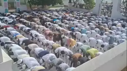 बूंदी: बूंदी जिले में ईद उल अजहा के अवसर पर सामूहिक नमाज अदा की गई, अमन-चैन की मांगी गई दुआ