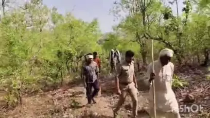 अजयगढ़: थाना धरमपुर, बृजपुर व पुलिस लाईन की संयुक्त टीम ने जंगल और ग्रामीण क्षेत्रों में की गश्त