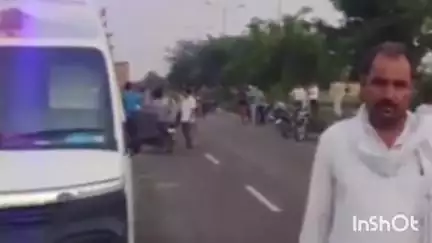 रेवाड़ी: रेवाड़ी में केमिकल युक्त पानी से 20 गायों की हुई मौत, गो-सेवकों ने जताया रोष