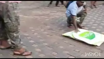 दोडामार्ग: तळकट-भटवाडी येथे आढळला १४ फुटी किंग कोब्रा, सर्पमित्र विठ्ठल गवस यांनी पकडून सोडले नैसर्गिक अधिवासात