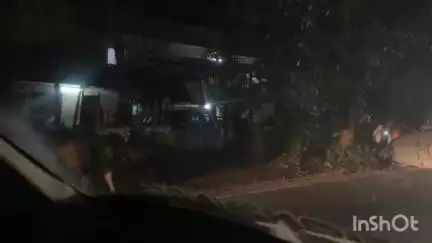सावंतवाडी: माजगाव येथे गवारेड्याने धडक देऊन रिक्षा केली पलटी, प्रवासी जखमी