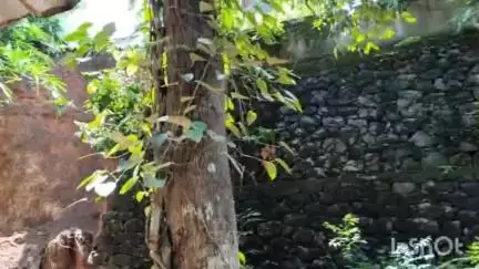 കോട്ടയം: പുല്ലരിക്കുന്നിൽ വീടിനു സമീപമുള്ള കിണറിലേക്ക് മണ്ണിടിഞ്ഞുവീണ് അപകടം