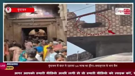वृंदावन में श्रद्धालु का 20 लाख रुपये से भरा बैग लेकर भागा बंदर: पुलिस ने किया बरामद