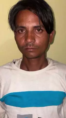 सरोजनी नगर: बंथरा क्षेत्र से एसटीएफ ने अंतरराष्ट्रीय स्तर पर कछुओं की तस्करी करने वाले आरोपी को किया गिरफ्तार, 102 कछुए बरामद
