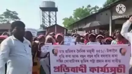 মৰঙী: ভাৰতীয় চাহ মজদুৰ সংঘৰ মৰঙি চাহ বাগিচাত চাহ শ্ৰমিকৰ প্ৰাপ্য মজুৰি প্ৰদানৰ দাবীত শ্ৰমিকৰ উত্তাল প্ৰতিবাদ সাব্যস্ত