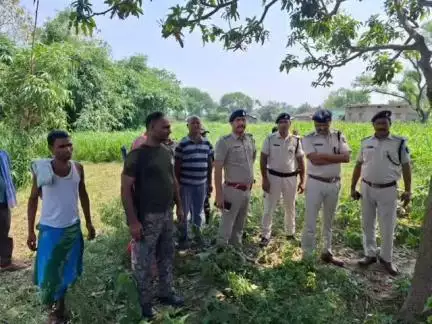 परबत्ता: अररिया गांव में पेड़ से लटका मिला किशोर का शव, आत्महत्या की आशंका, पुलिस जांच में जुटी