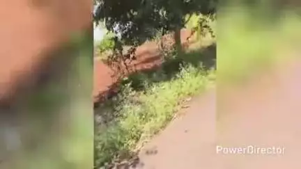 ಹನೂರು: ಎಡಹಳ್ಳಿ ದೊಡ್ಡಿ ಸಮೀಪ ಬೆಂಕಿ ಬಿದ್ದರೂ ತಿಳಿಯದೇ ಟ್ರಾಕ್ಟರ್ ಚಾಲನೆ-  ಅದೃಷ್ಟವಶಾತ್‌ ನಾಲ್ವರು ಬಚಾವ್