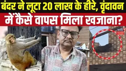 Mathura Monkey Attack: बंदर ने लूटे 20 लाख के हीरे, वृंदावन में कैसे वापस मिला खजाना?  Breakign News