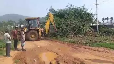 భీమిలి: కొండపేట కాలనీలో కార్పొరేటర్ కొండబాబు ఆదేశాలతో రహదారులలో చెట్లను తొలగిస్తున్న జీవీఎంసీ సిబ్బంది