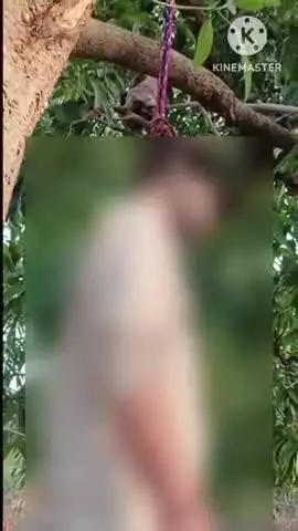 नगरी: नगरी के डमकाडीह में एक व्यक्ति ने फांसी लगाकर की आत्महत्या
